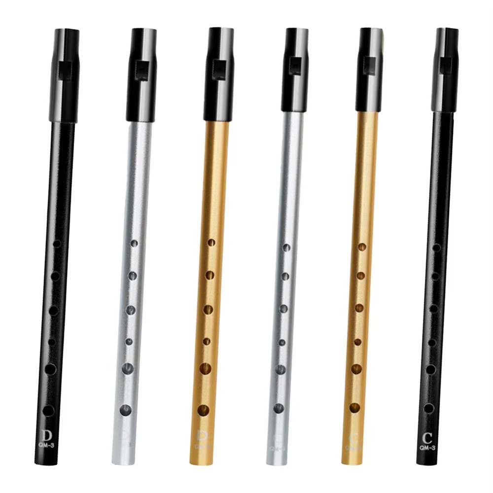 Tin Whistle Flute - C/D-Stimmung Irische Tinflöte mit 6 Löchern,