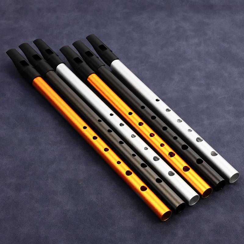 1 Stück Authentische Irische P – Tin Whistle Flute Bewertung und Preis