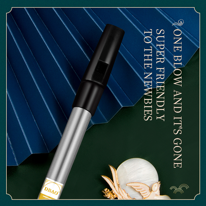 Irische Pfeifenflöte für Musik – Tin Whistle Flute Bewertung und Preis