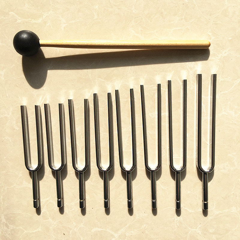 Stimmgabel 8-Gruppen-Musikgrup – Musical Instrument Groups Bewertung und Preis