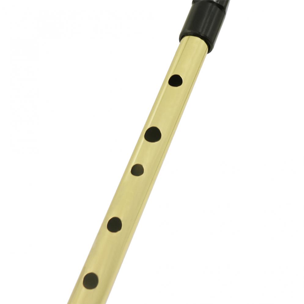 Irish Pfeife Sopran Flöte D To – Tin Whistle Flute Bewertung und Preis