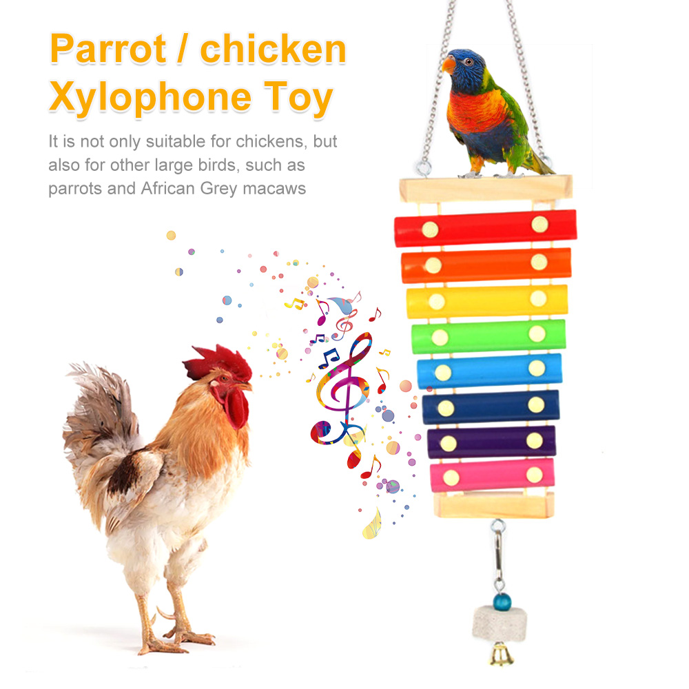 Vogel-Huhn-Xylophon-Spielzeug  – Musical Instrument Harmonium Bewertung und Preis