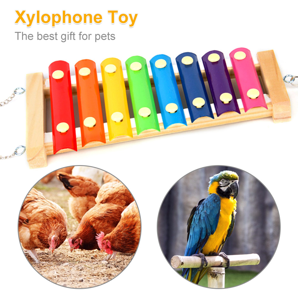 Vogel-Huhn-Xylophon-Spielzeug  – Musical Instrument Harmonium Bewertung und Preis