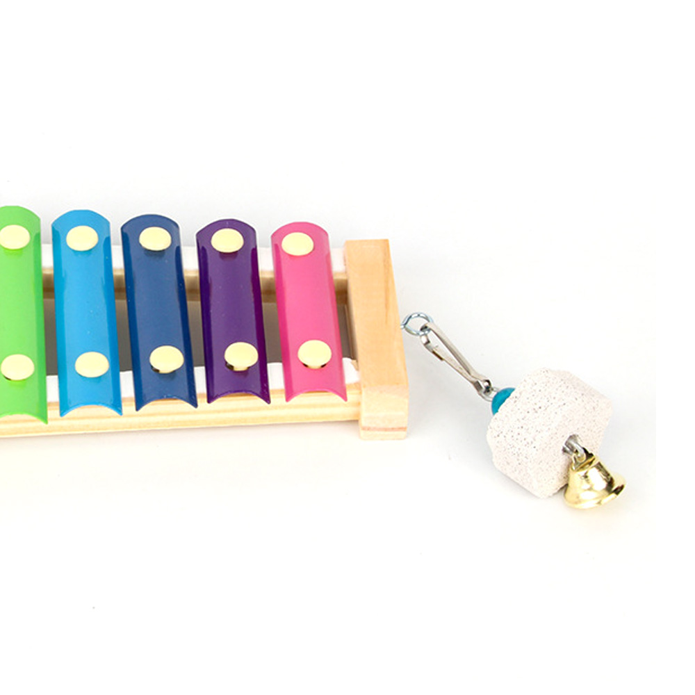 Vogel-Huhn-Xylophon-Spielzeug  – Musical Instrument Harmonium Bewertung und Preis