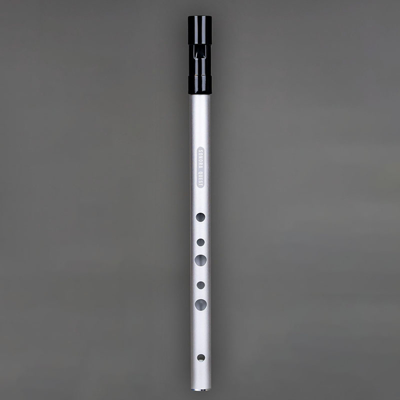 D-Tonart 6-Loch Blechpfeife au – Tin Whistle Flute Bewertung und Preis