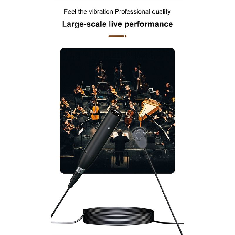 【A15I】 GC411 Instrumenten-Tona – Musical Instrument With A Bewertung und Preis