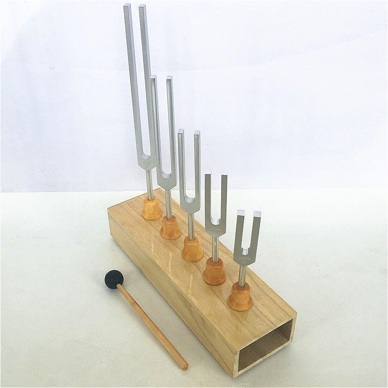 Stimmgabel-Set aus Aluminiumle – Musical Instrument Groups Bewertung und Preis
