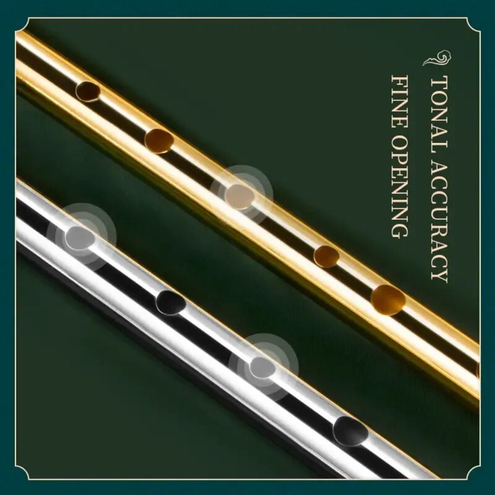 C/D-Stimmung Irische Tinflöte  – Tin Whistle Flute Bewertung und Preis