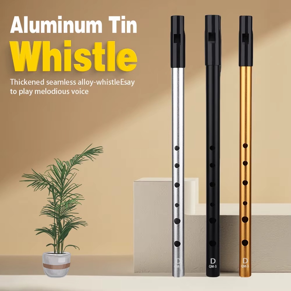 6-Loch C/D Irish Whistle Flöte – Tin Whistle Flute Bewertung und Preis
