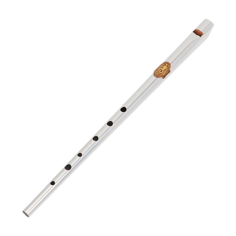 D/C Key Tin Whistle Student An – Tin Whistle Flute Bewertung und Preis