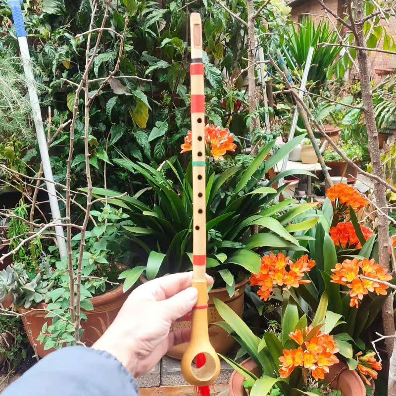 Handgefertigte Bambus-Stimmflö – Musical Instrument Groups Bewertung und Preis